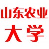 山東農(nóng)業(yè)大學(xué)