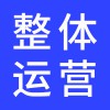 企業(yè)整體運(yùn)營(yíng)方案